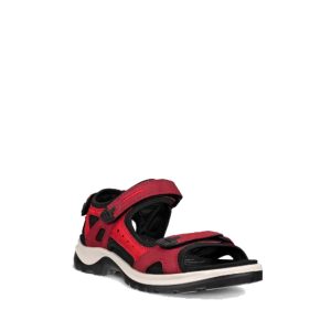 Offroad - Women's Sandals in Chilli/Red from Ecco