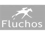 Fluchos