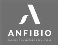 Anfibio