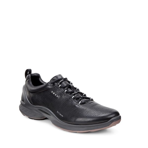 ecco biom fuel