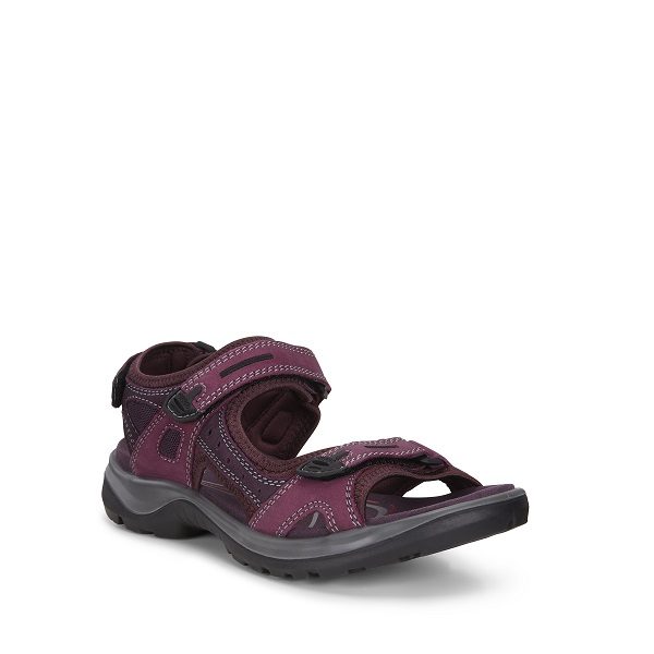 Ecco yucatan aubergine hotsell