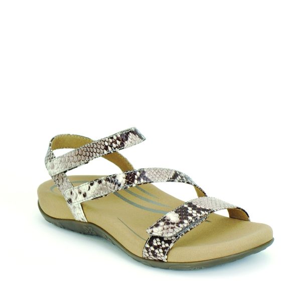 Gabby - Women's Sandals in Snake from Aetrex