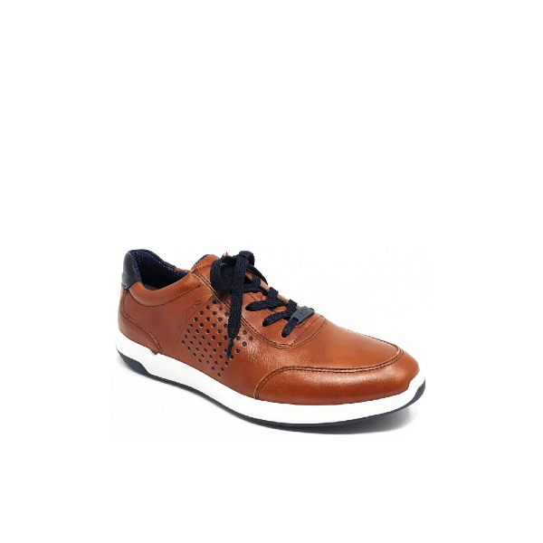 chaussure ara homme
