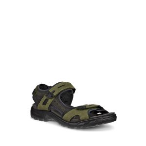 Offroad - Men's Sandals in Green from Ecco