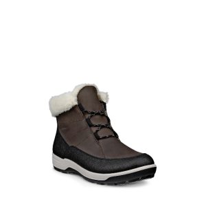 Trace Lite - Bottillons pour Femme couleur Noir de marque Ecco